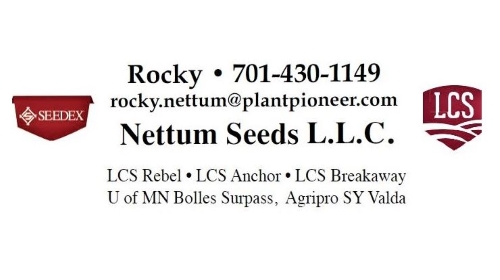 Rocky Nettum Seed 500x280